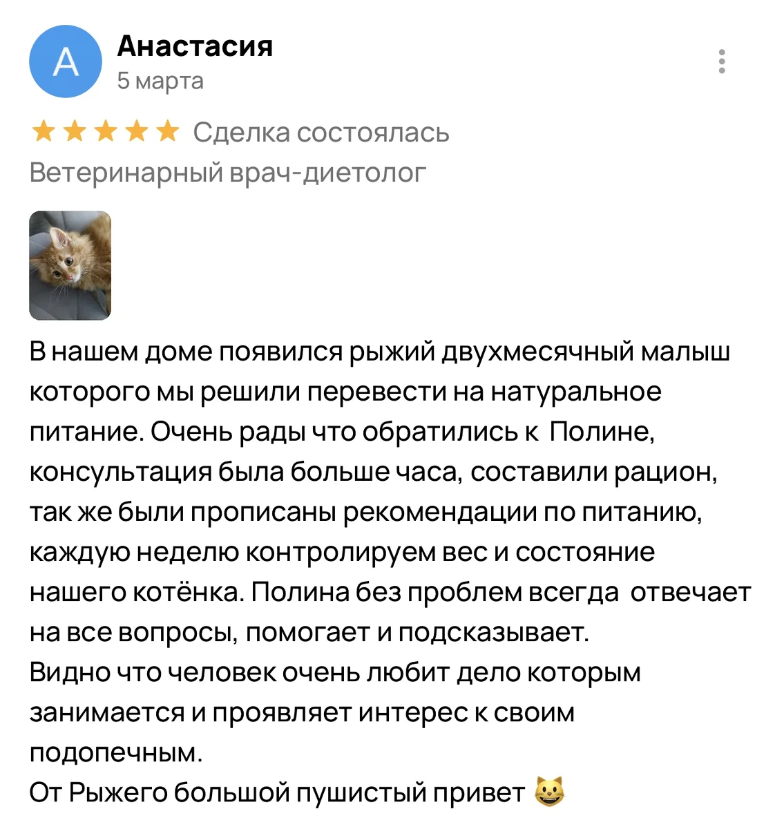 Отзыв Анастасии на Avito о переводе котёнка на натуральное питание